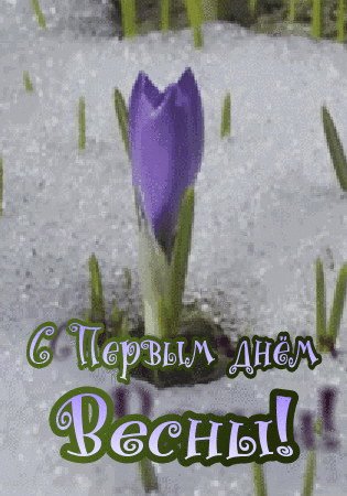 С Первым днём Весны