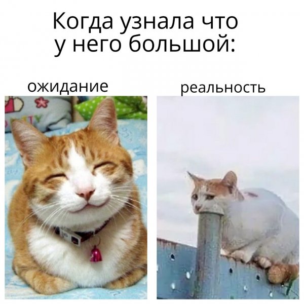 IMG 20260404 005447 433