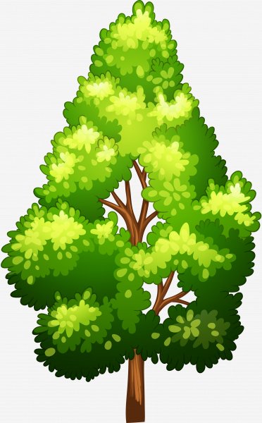 mbyl ec1z 141031.tree.tree.clipart