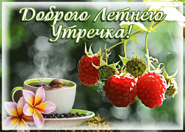 анимированная открытка доброго летнего