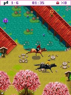 Академия наездников