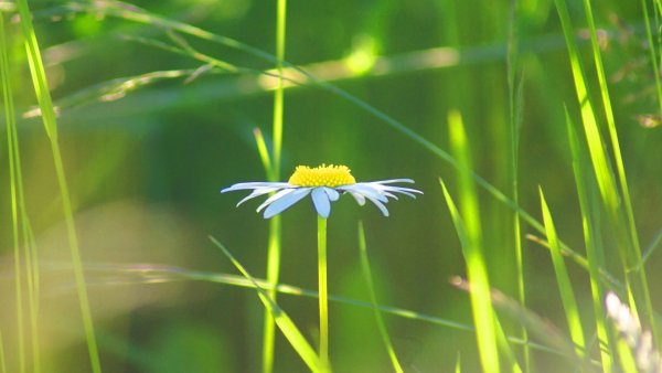 file_82034170