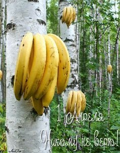 file_90085084