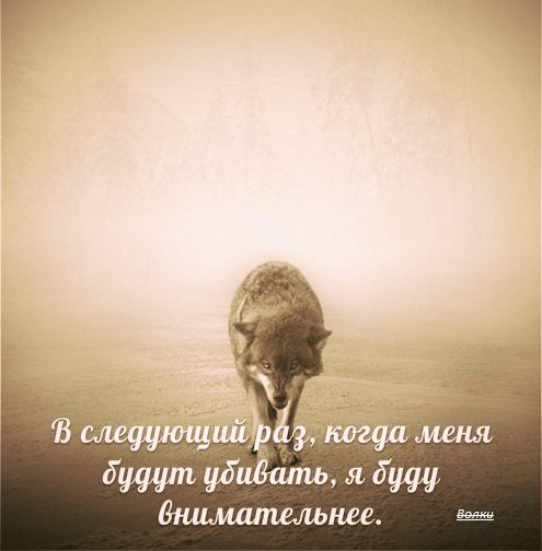 m8Q5SCIBeY