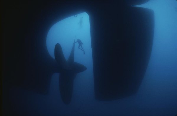 file_81787172