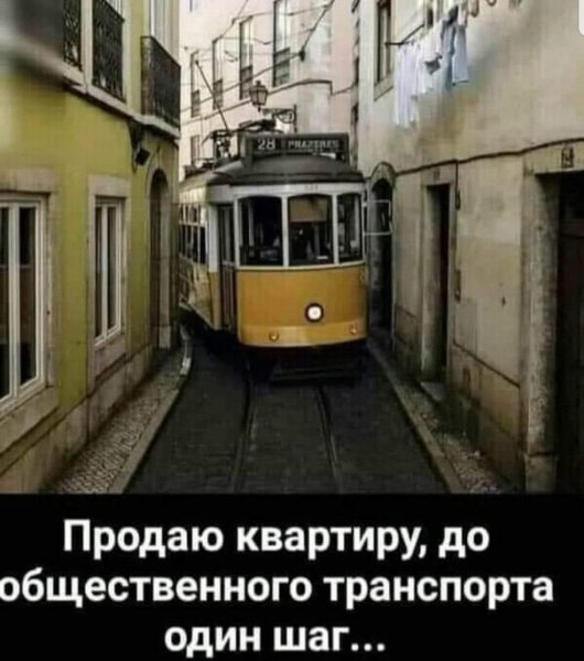 file_83381465