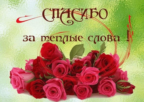 СПАСИБО!!!