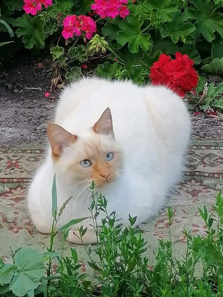 FB IMG 1715016513606