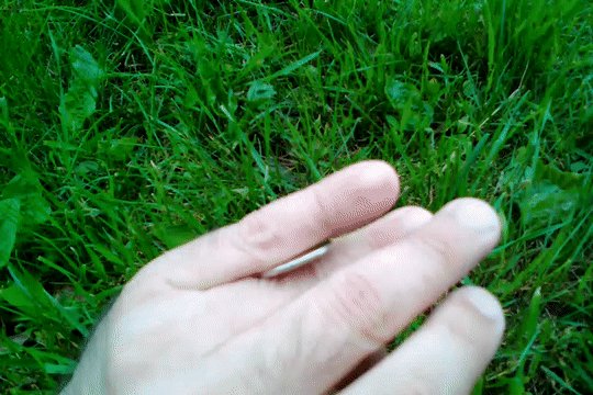 престидижитация
