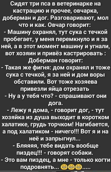 IMG 20241101 093639