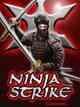 Ninja Strike