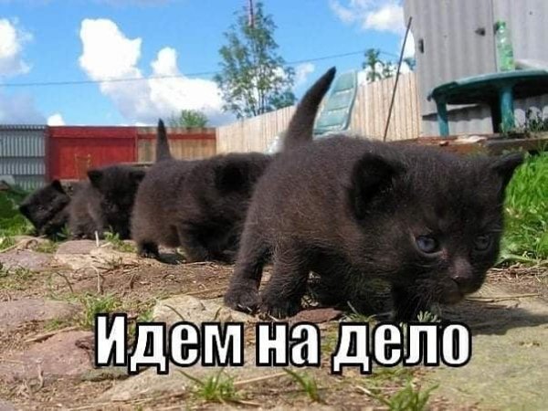 Идём на дело!