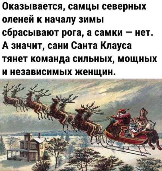 file_95296380