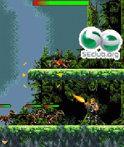 Turok