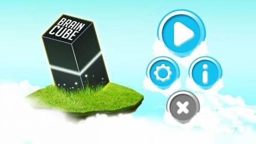 Brain Cube