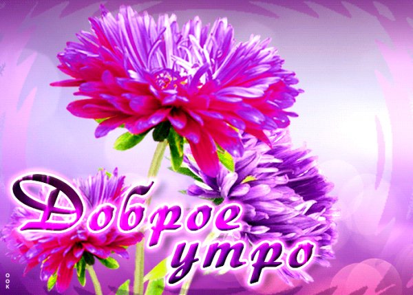 file_98886649