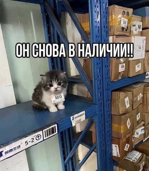Приколы юмор (25)