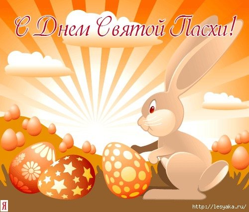 belo oranzh kart zayaka yaichki