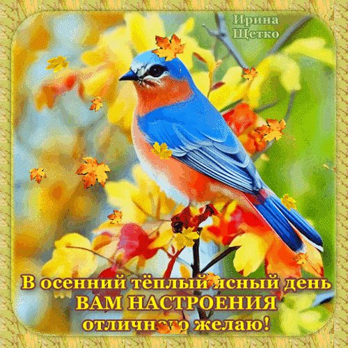 Анимированная открытка отличного настроения (3)