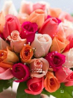 file_63151032