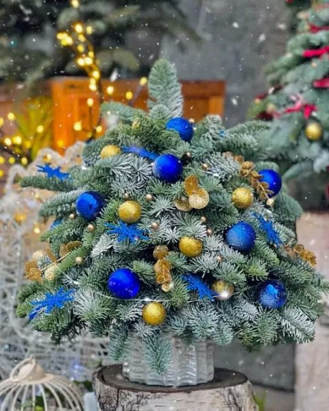 FB IMG 16709226799726341 102406