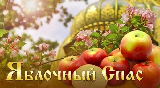 file_97488598