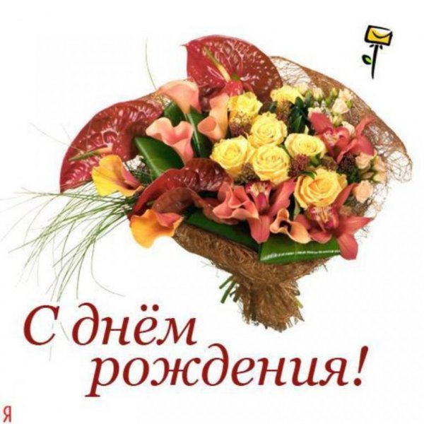 file_81237177