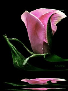 file_46570788