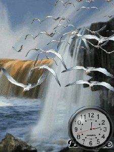 Birds