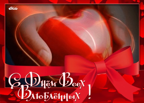 IMG 20180214 155753 4