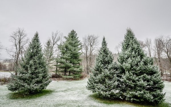 Зима обои ПК