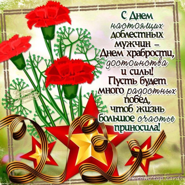 С 23 февраля (16)