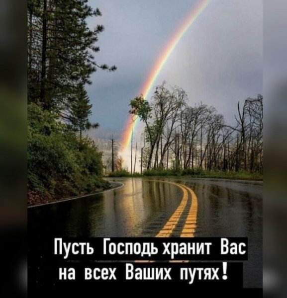 file_98231454
