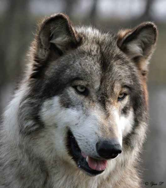 89d2b85810b56f98d7b2b4efd8b638cf-d378ysz