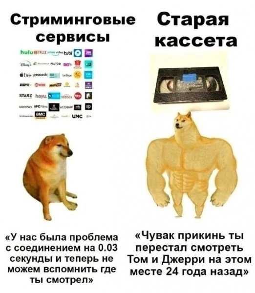 file_98594301