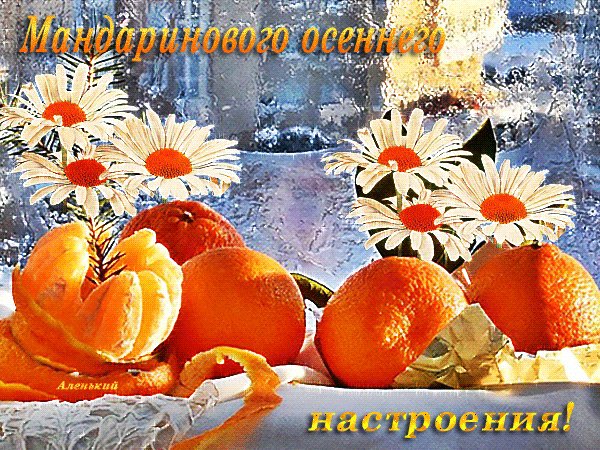 file_75549626