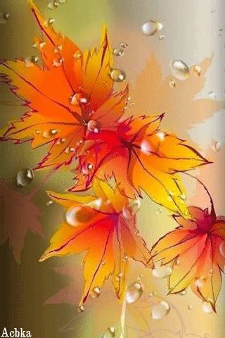 file_94620985