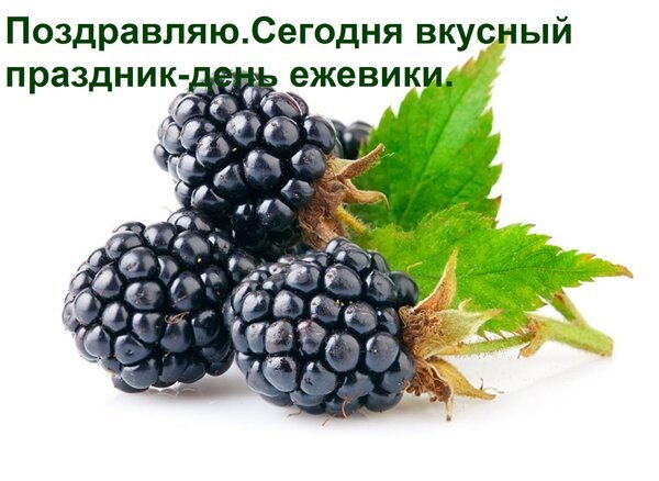 Открытка поздравляю сегодня вкусный