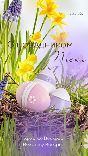 file_93186344