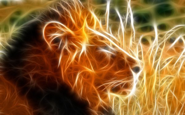 Lion-orange-light-graphic-profile