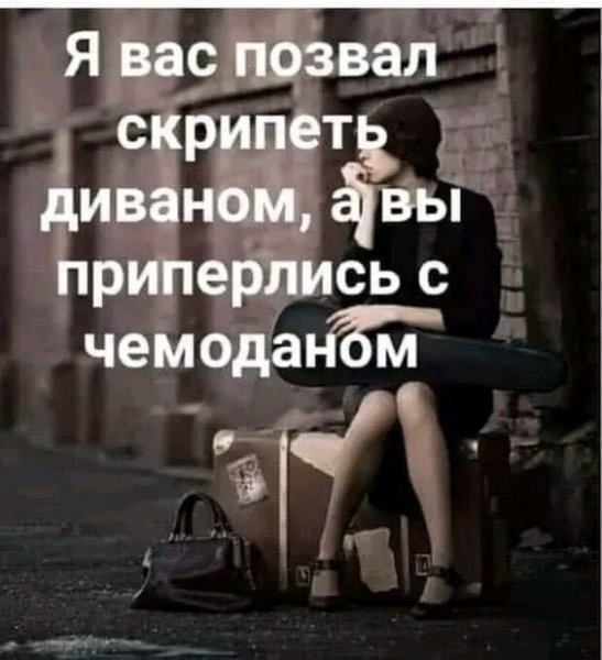 file_103238913