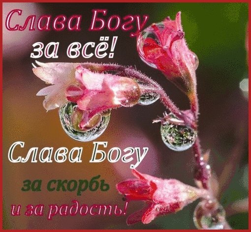 KPxMxDyh800