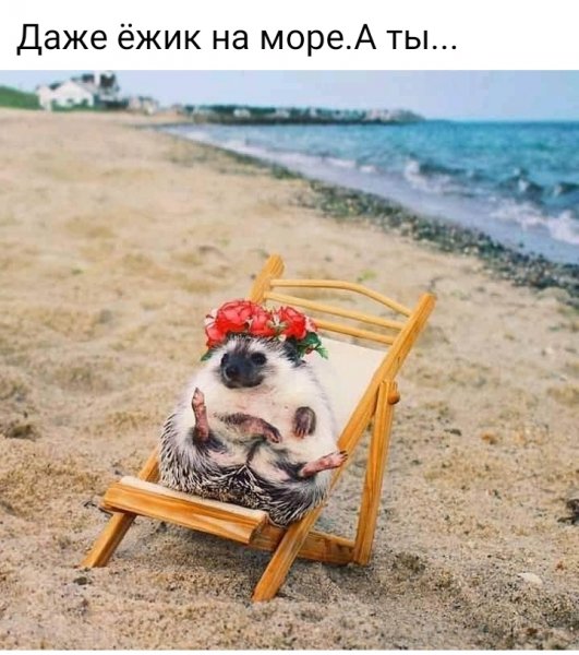 Даже