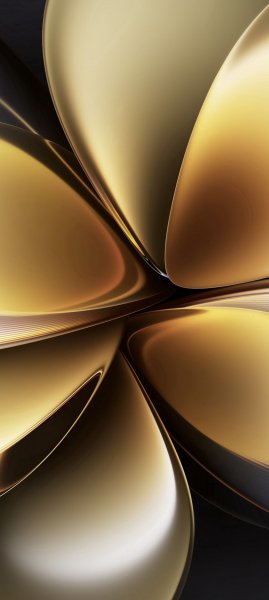 adapted 1080x2408 1775890806