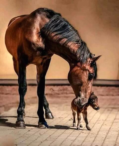 FB IMG 16338564949942468