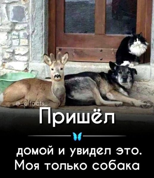 FB IMG 1776447102165