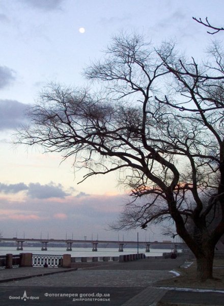 file_397295