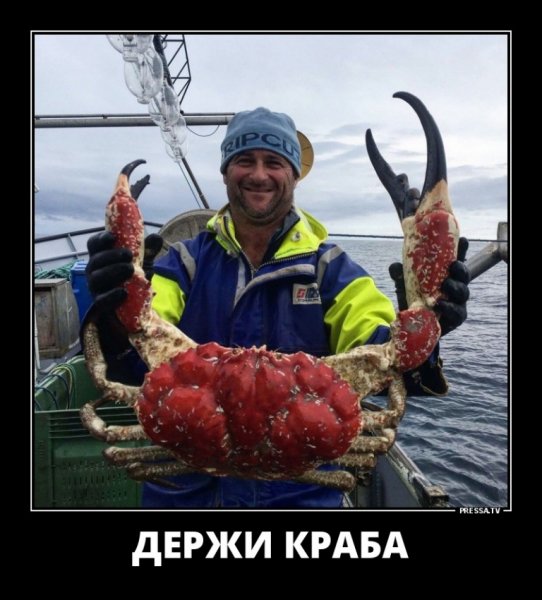 file_77352373