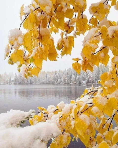 file_94936599