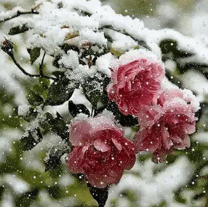 file_75339910